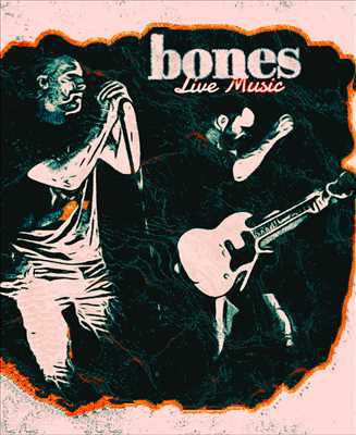 Photo groupe de musique n°951 dans le département 69 par BONES Live Music